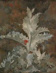 Eine Distel